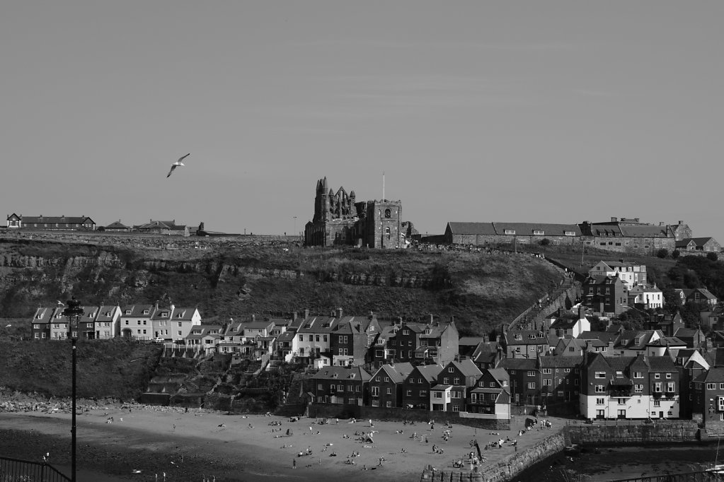 DSC2140.JPG