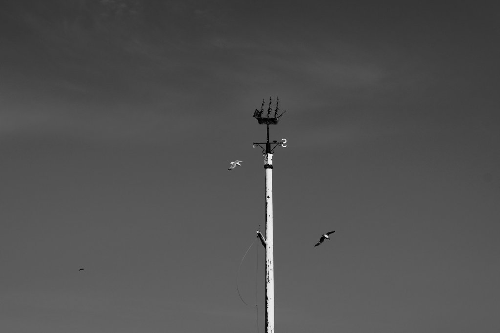DSC2146.JPG