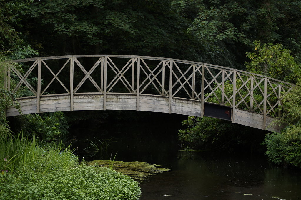 DSC2525.JPG