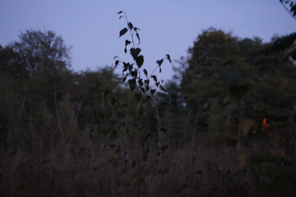 DSC3129.JPG