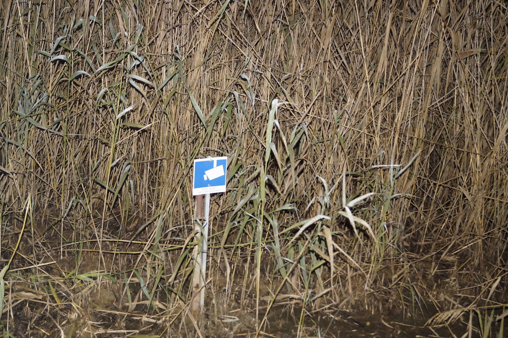 DSC3137.JPG