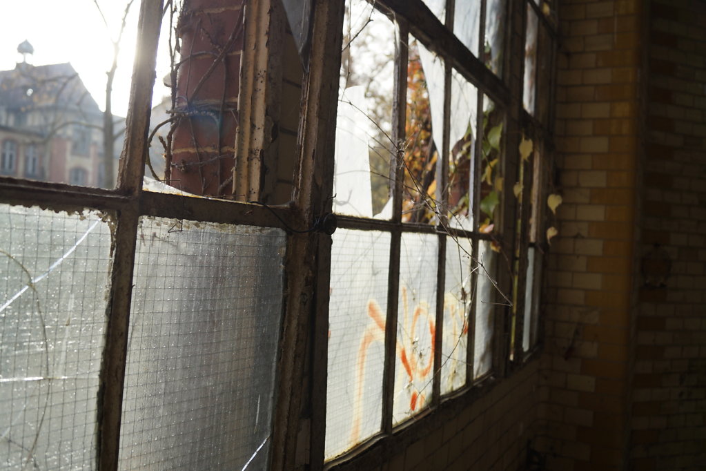 DSC3634.JPG