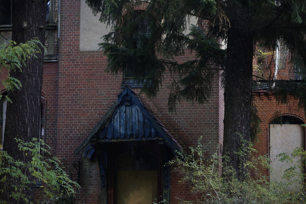 DSC3649.JPG