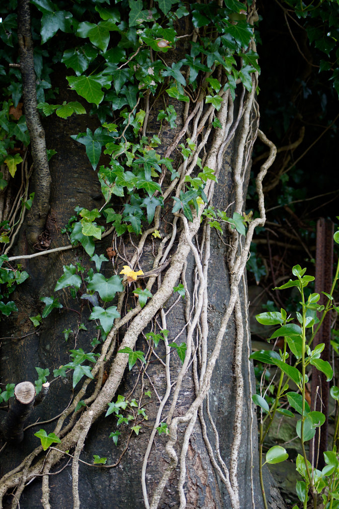 DSC7156.jpg