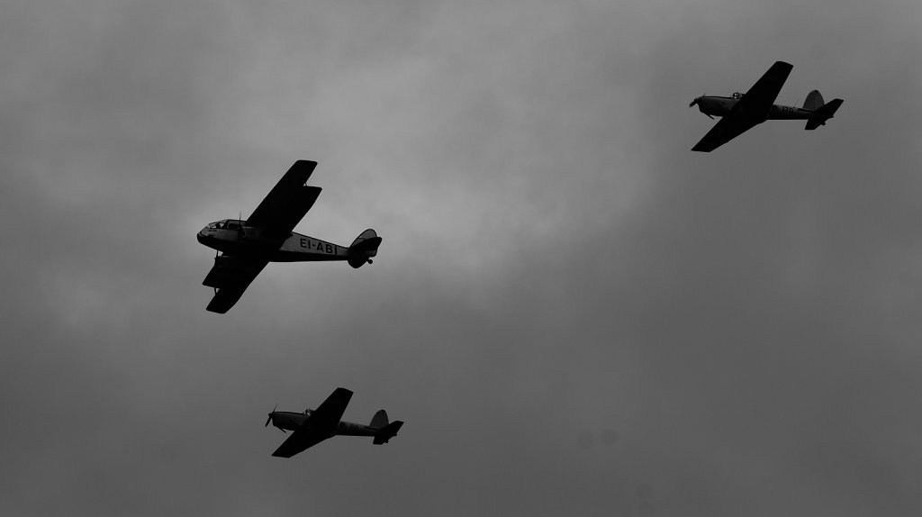 DSC8164.JPG