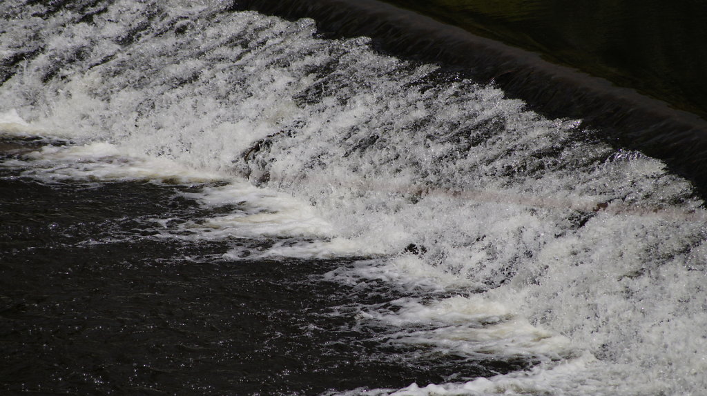 DSC8238.JPG