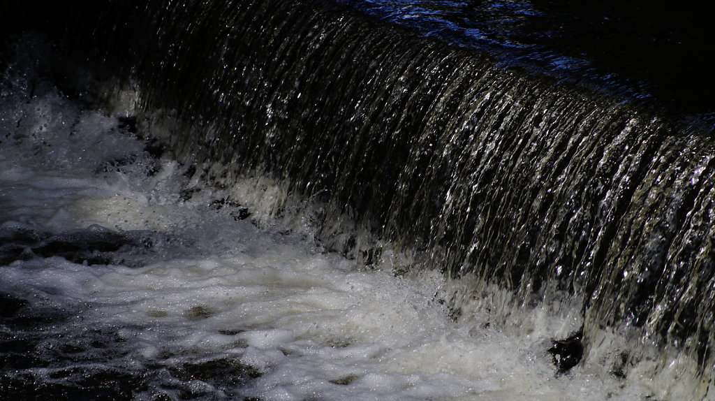 DSC8294.JPG