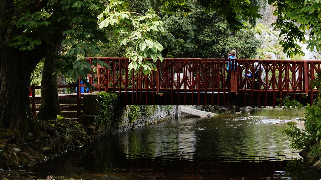 DSC8295.JPG