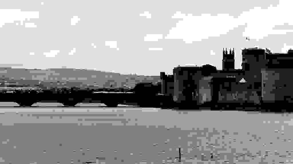 DSC8357.JPG