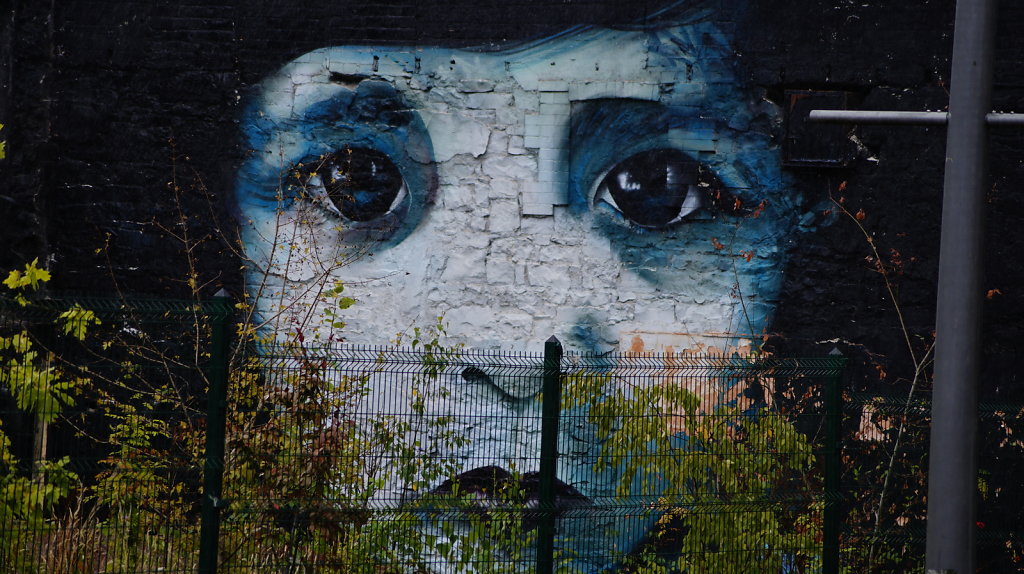 DSC8399.JPG