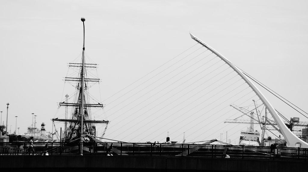 DSC8795.JPG