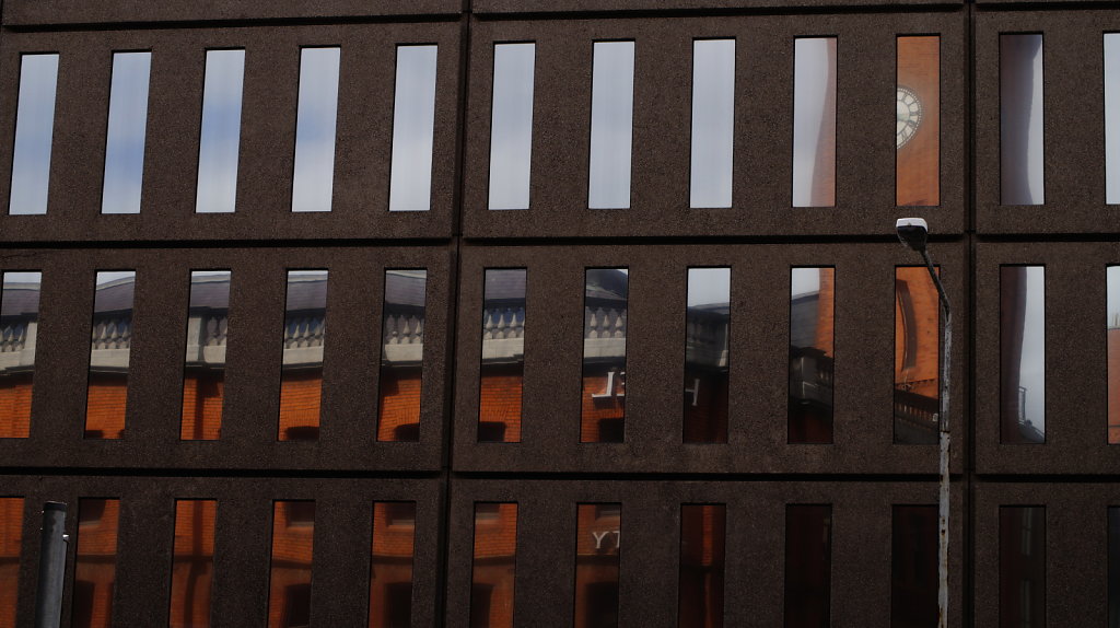 DSC8813.JPG