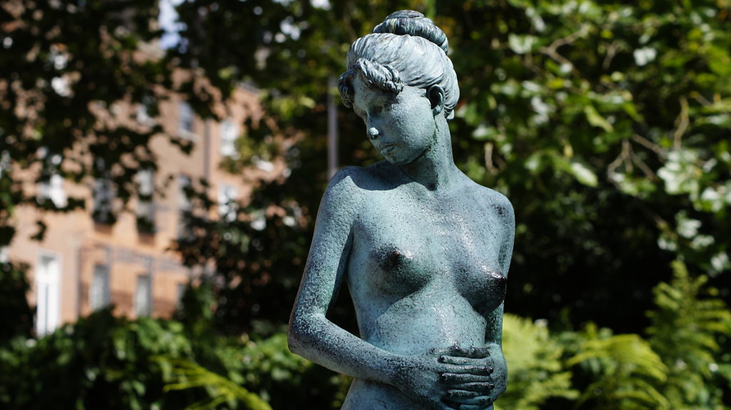 DSC8989.JPG