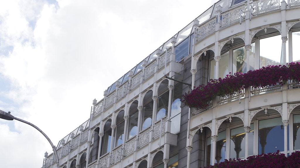 DSC9047.JPG
