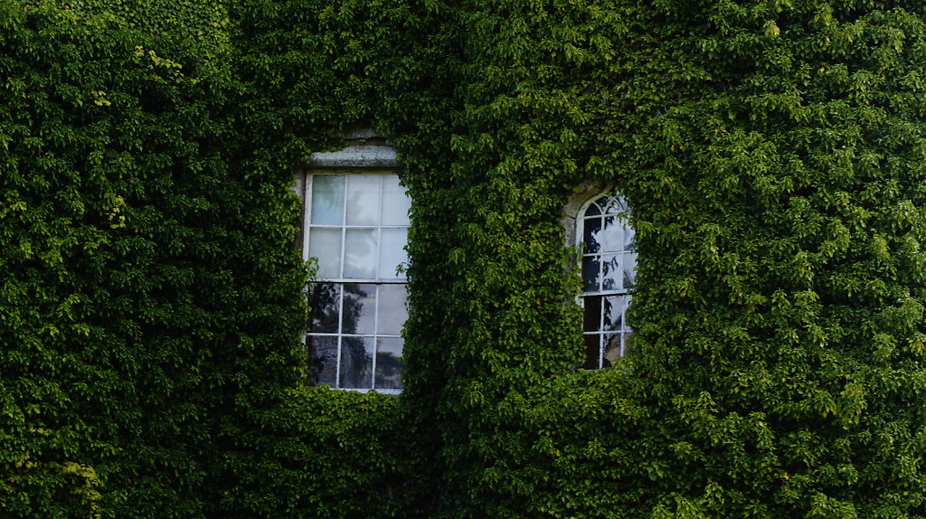 DSC9403.JPG