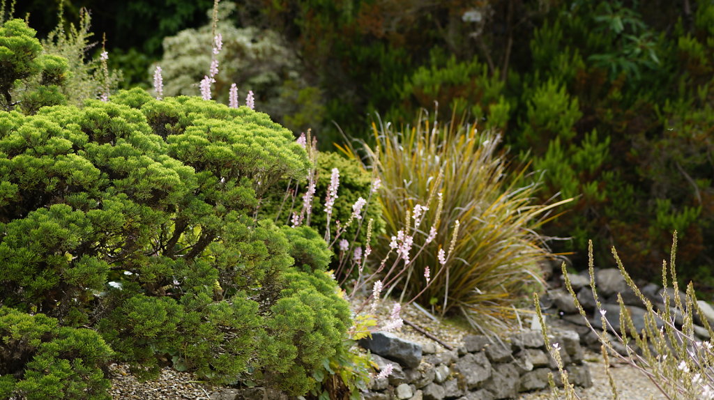 DSC9472.JPG
