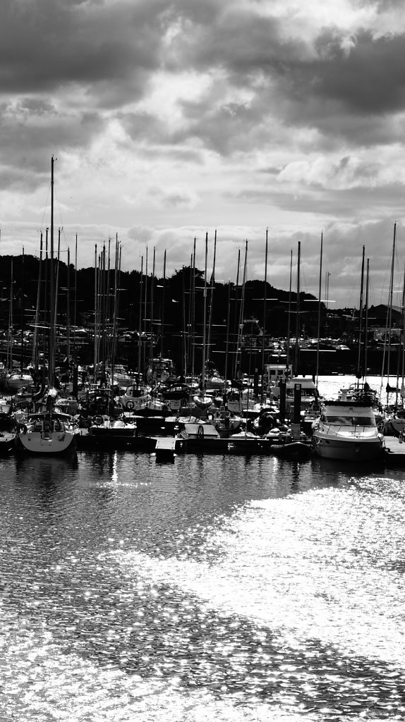 DSC9583.JPG
