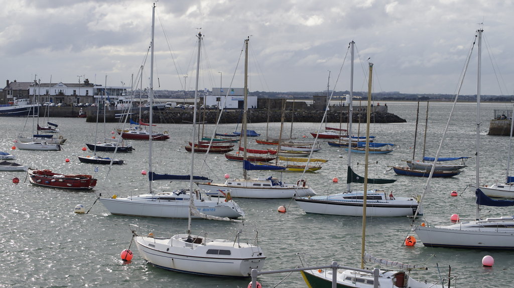 DSC9588.JPG