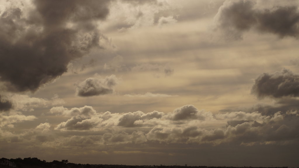 DSC9651.JPG