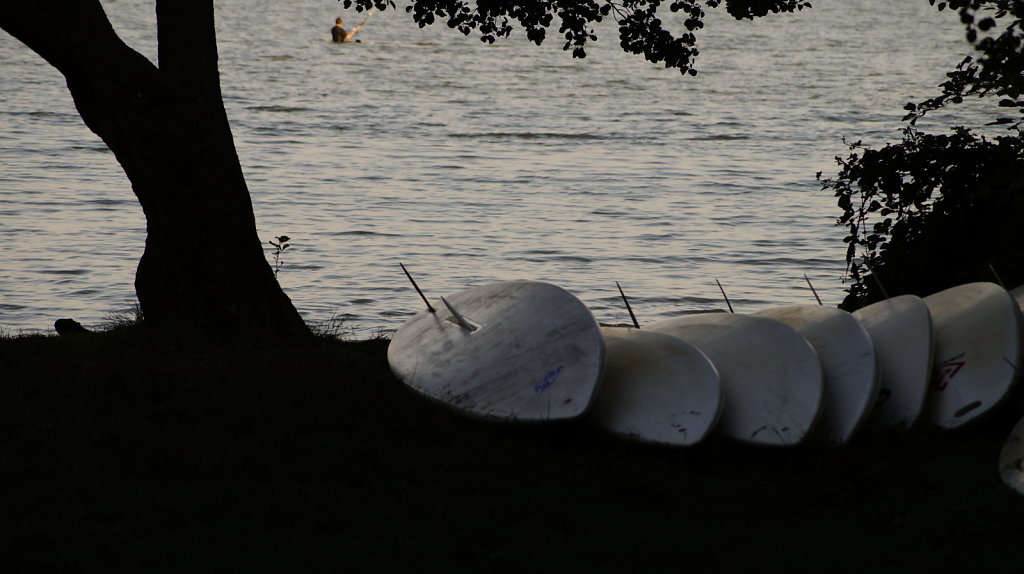 DSC9805.JPG