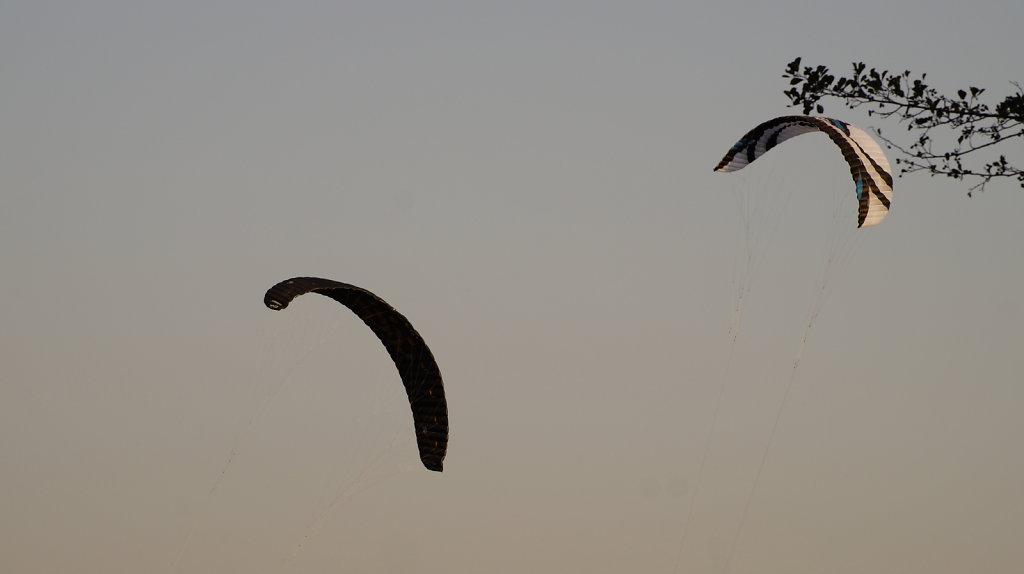 DSC9807.JPG
