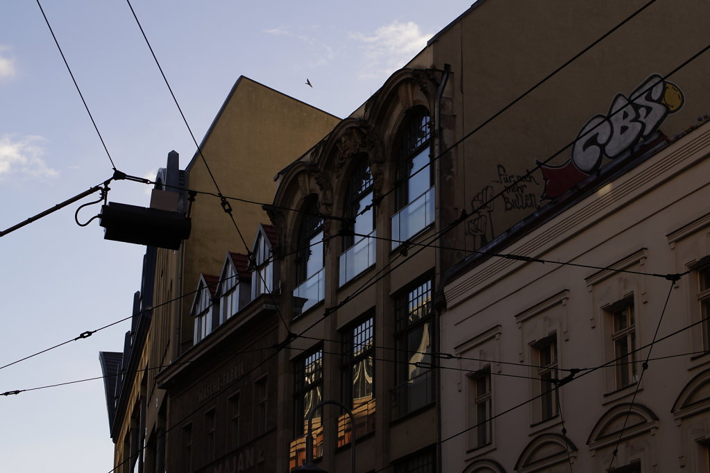 DSC5140.JPG