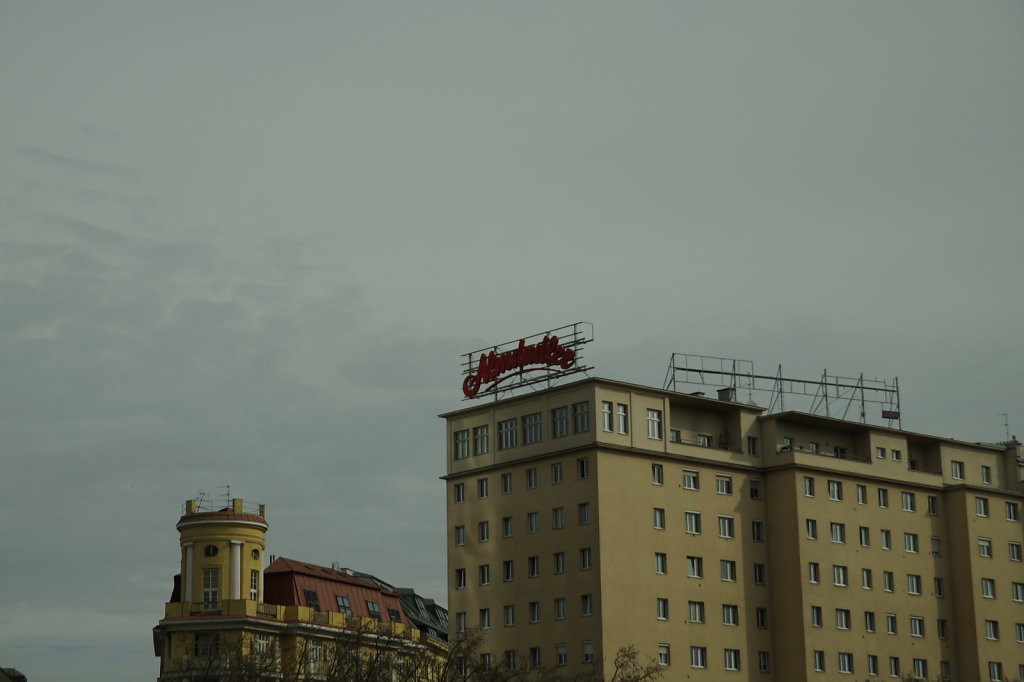 DSC5821.JPG