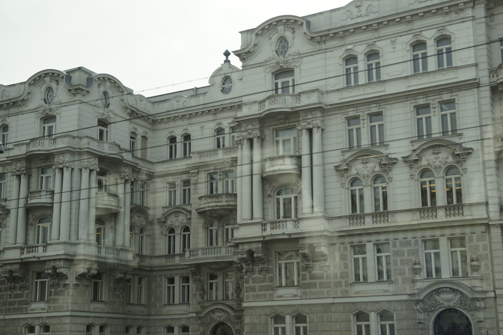 DSC5827.JPG