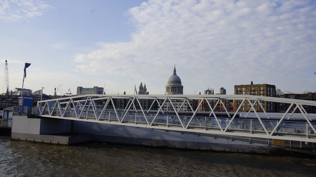 DSC7982.JPG