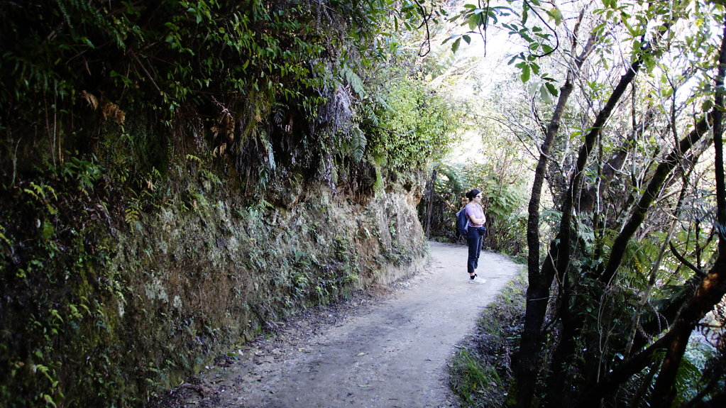 DSC4007.JPG