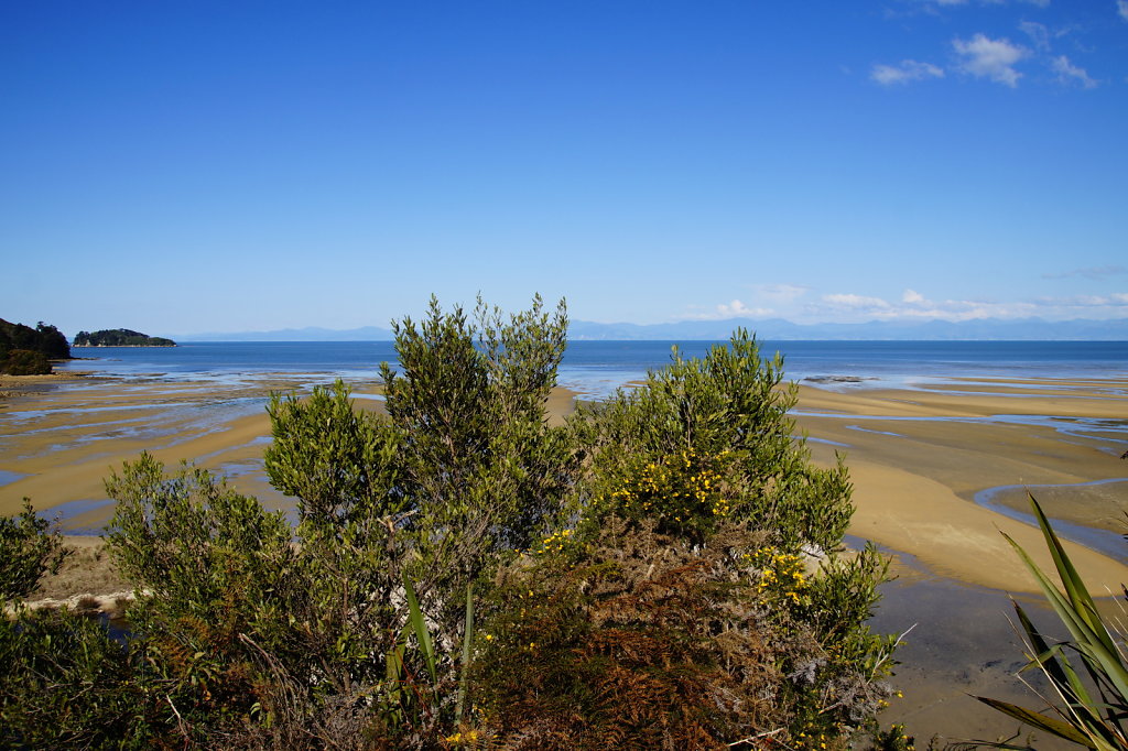 DSC4025.JPG