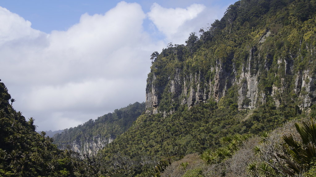 DSC4855.JPG