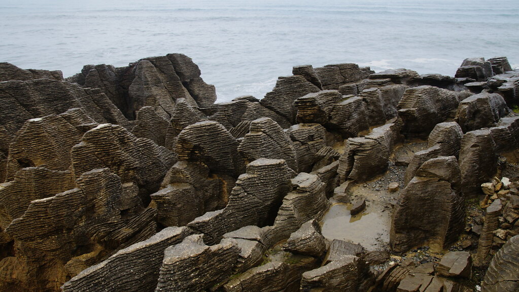 DSC4941.JPG