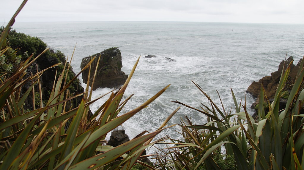 DSC5000.JPG