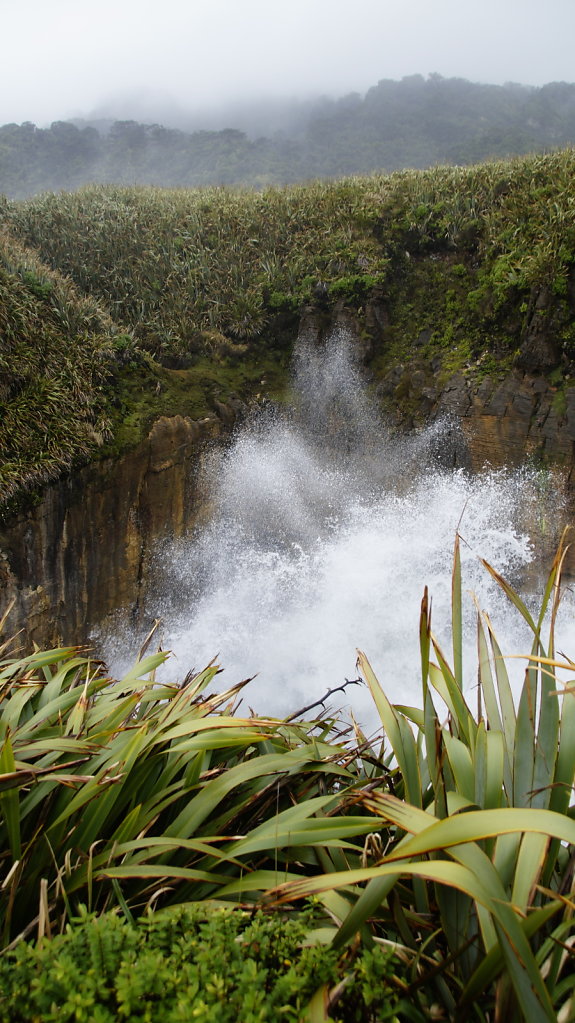 DSC5016.JPG