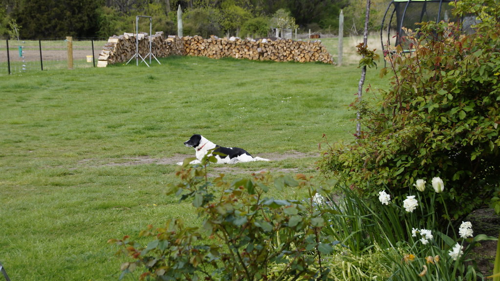 DSC5231-Kopie.JPG