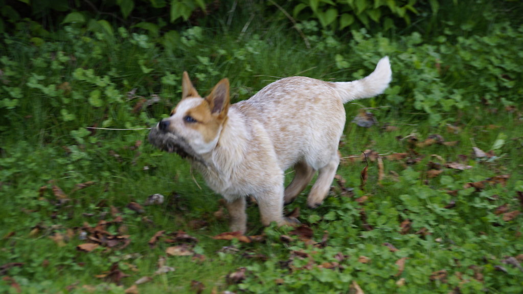 DSC5243.JPG