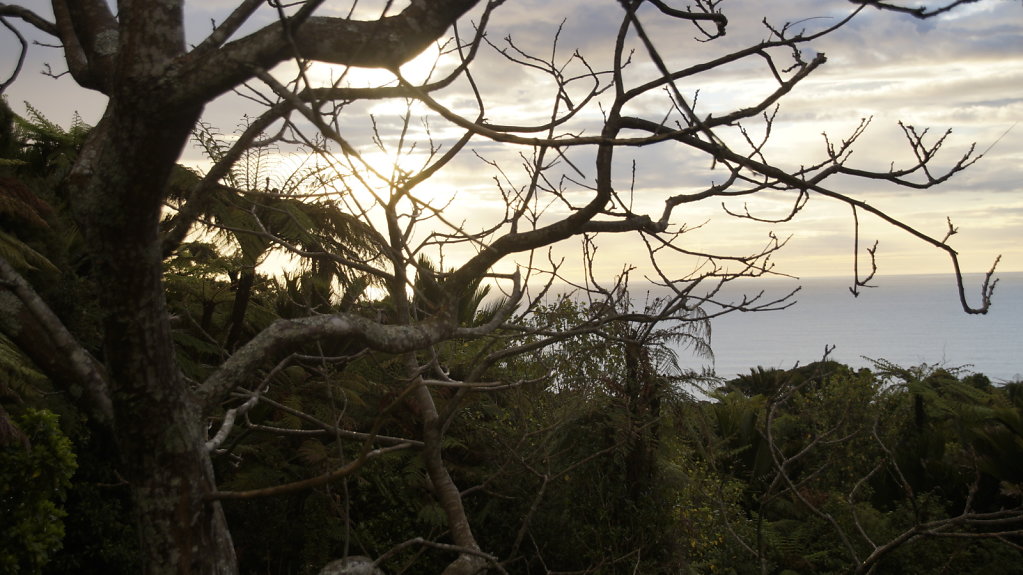 DSC5081.JPG