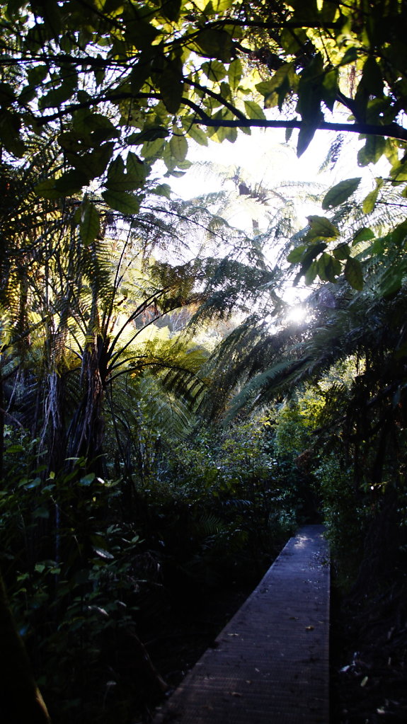 DSC4563.JPG