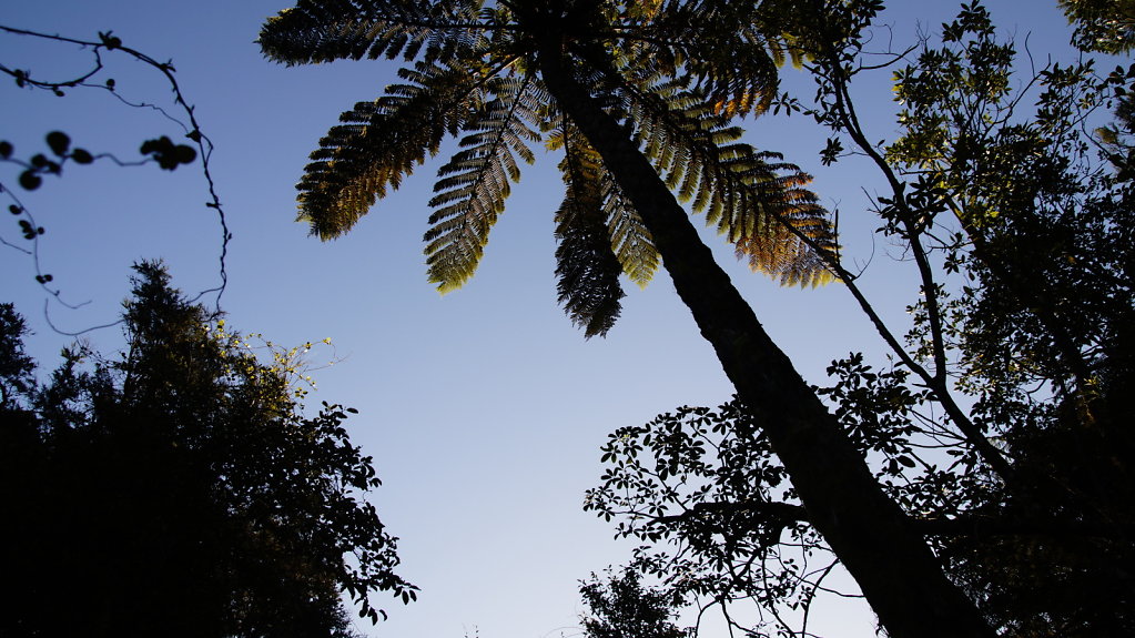 DSC4578.JPG
