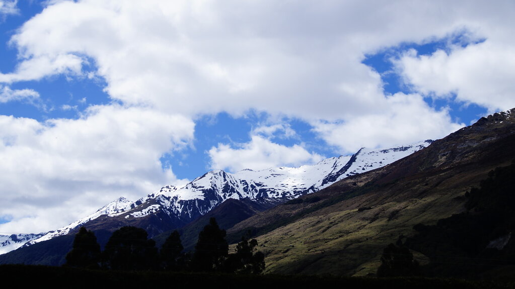 DSC5170.JPG