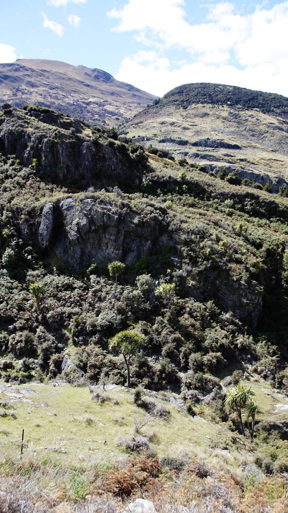 DSC5181.JPG
