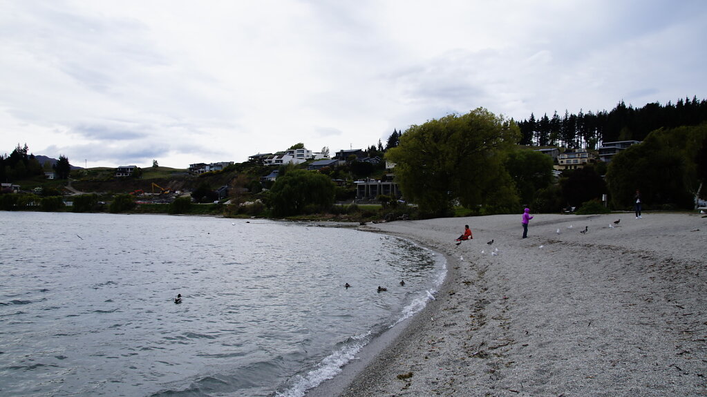 DSC5272.JPG