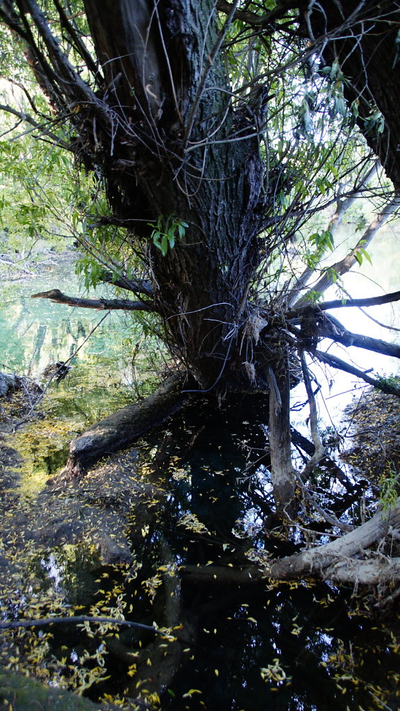 DSC5386.JPG