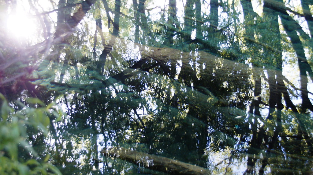 DSC5394.JPG