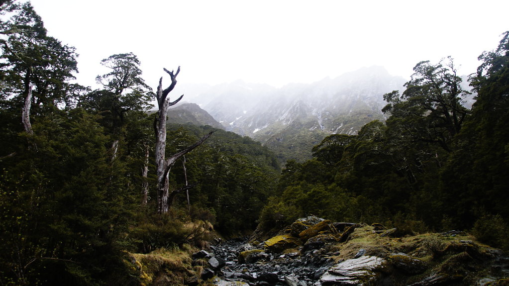 DSC5588.JPG