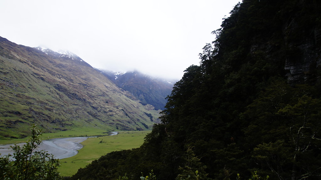 DSC5652.JPG