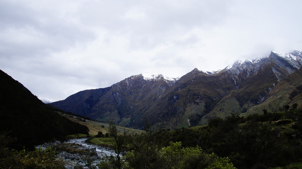 DSC5699.JPG