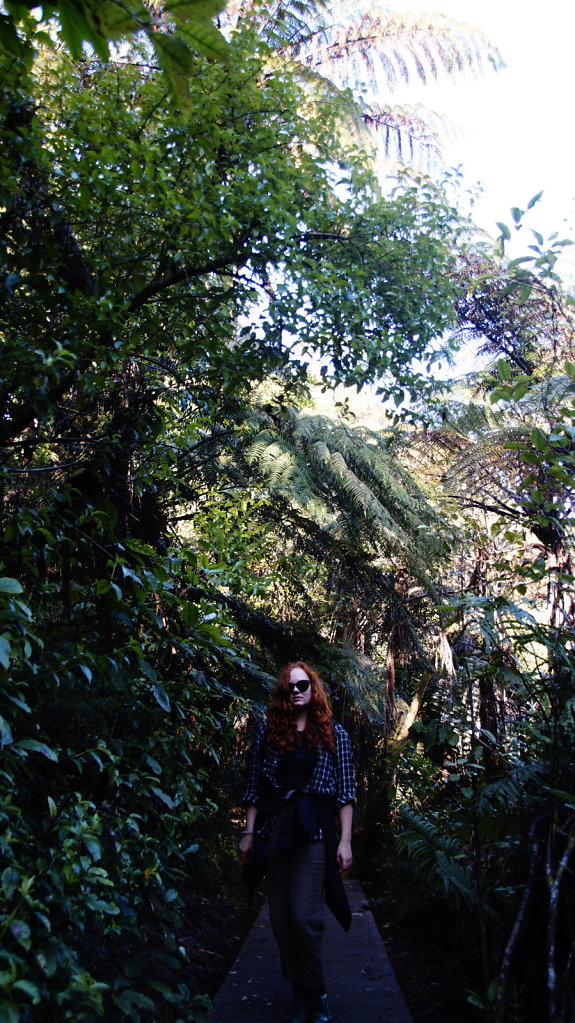 DSC4574.JPG