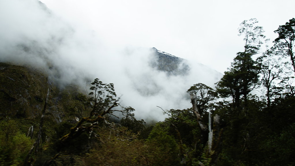 DSC5872.JPG